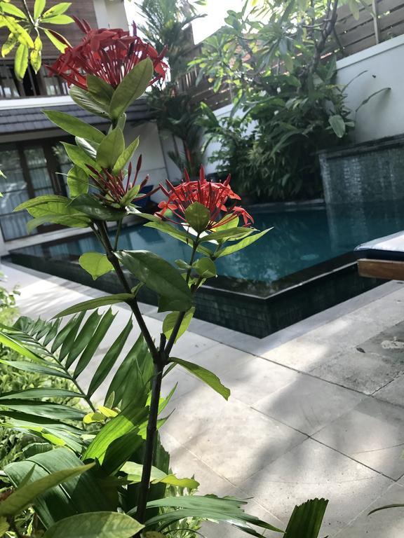 Villa Mudha 3 Sanur Eksteriør billede