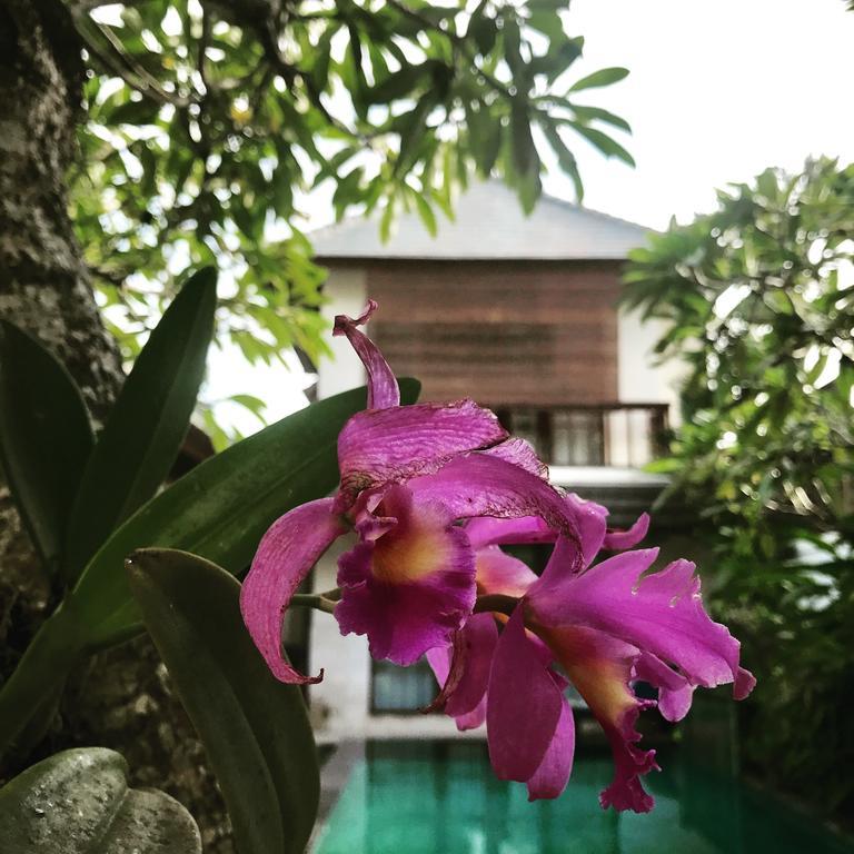 Villa Mudha 3 Sanur Eksteriør billede